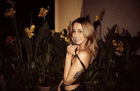 Allieesaur