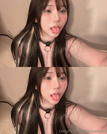 Imneko13