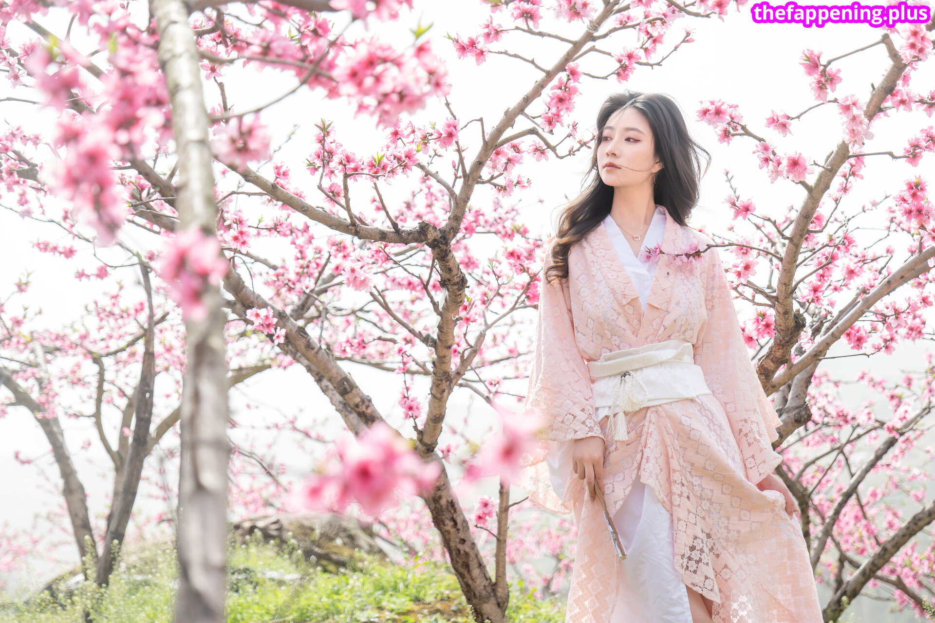 nianlin / nnian_ / nnian_011 Çıplak OnlyFans Fotoğrafı #756