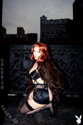 Playboy Plus