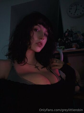 Robin Grey
