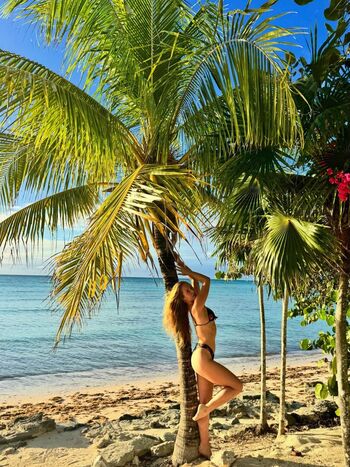 Sailor Brinkley Cook