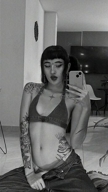 salyfisher
