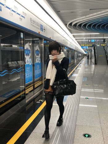 shiliuyelei