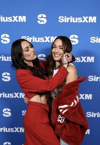 The Bella Twins