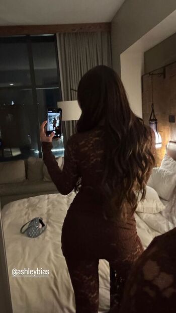 The Bella Twins