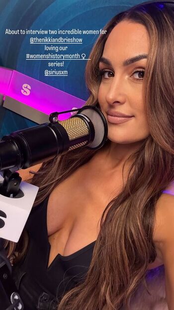 The Bella Twins