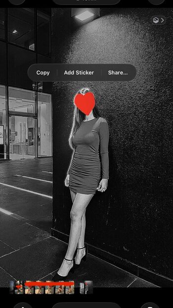 The_ Perfect_Fuck_Toy