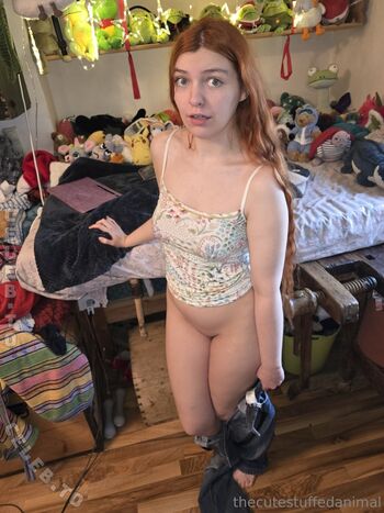 thecutestuffedanimal