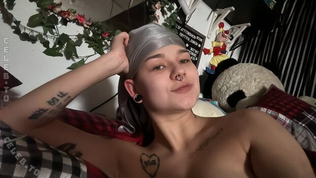Venuskittyxo