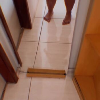 Veridiana Alves